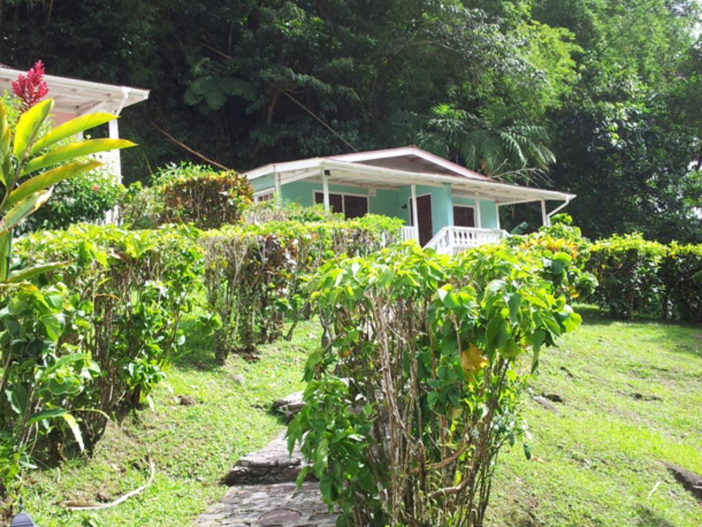 Chez Ophelia Cottage Apartments Roseau Phòng bức ảnh
