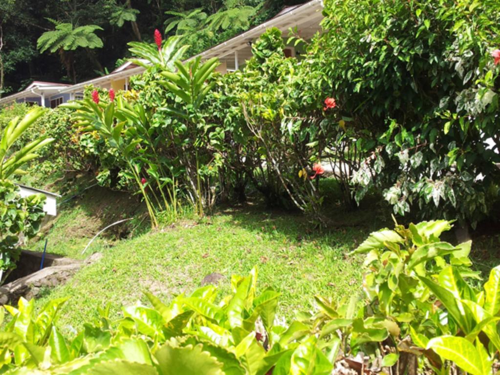 Chez Ophelia Cottage Apartments Roseau Phòng bức ảnh