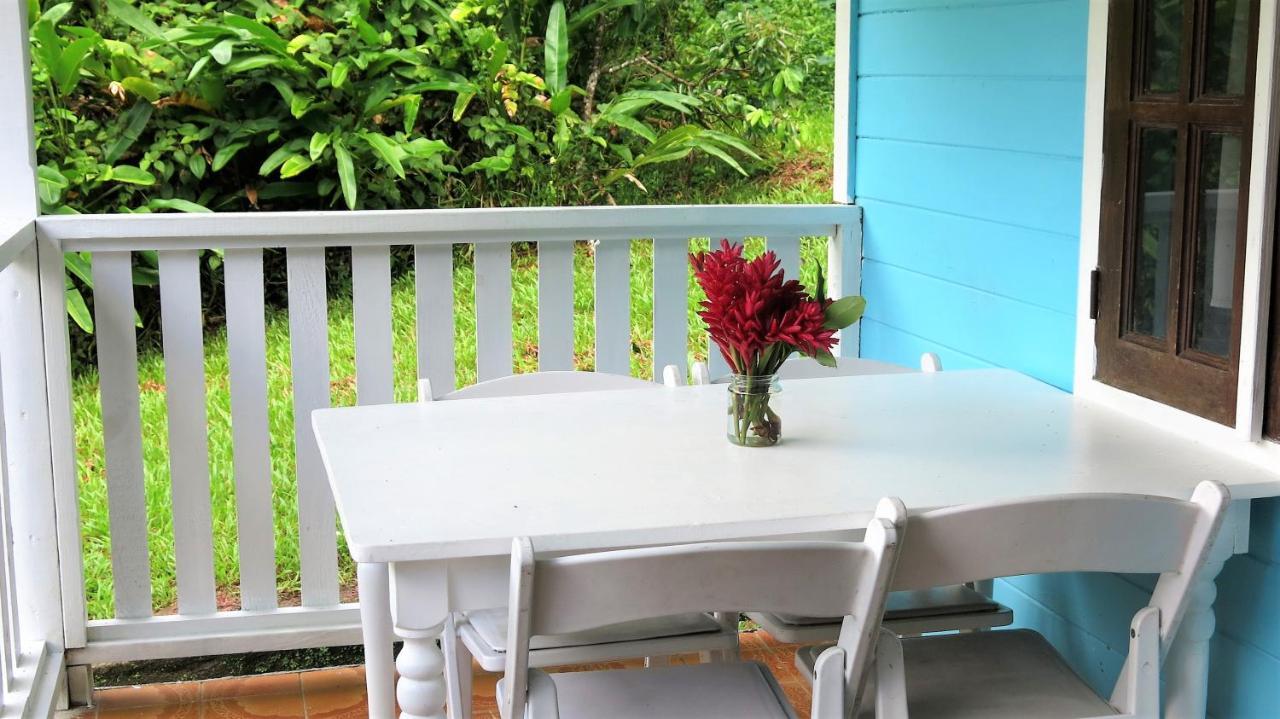 Chez Ophelia Cottage Apartments Roseau Ngoại thất bức ảnh